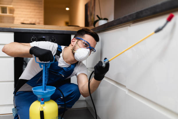 Best Cockroach Control Services  in Barrackville, WV
