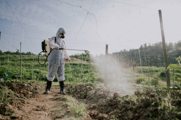 Best Commercial Pest Control Services  in Barrackville, WV