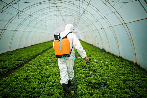 Best Residential Pest Control  in Barrackville, WV