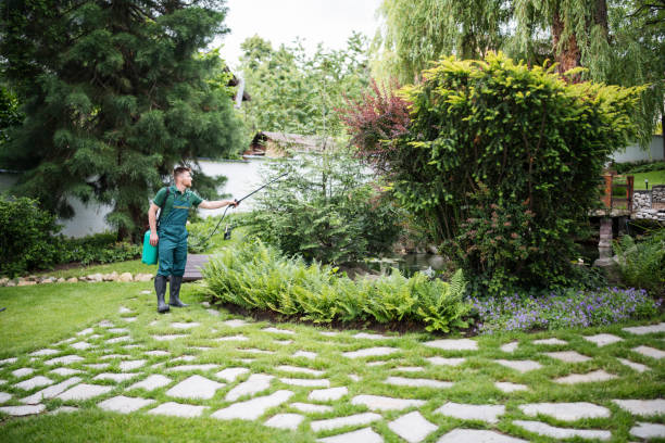 Best Commercial Pest Control Services  in Barrackville, WV