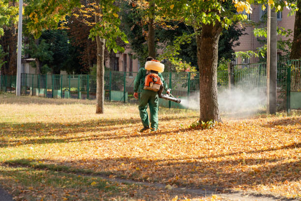 Best Affordable Pest Control Services  in Barrackville, WV