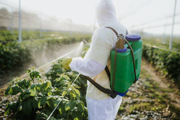 Best Best Pest Control Companies  in Barrackville, WV